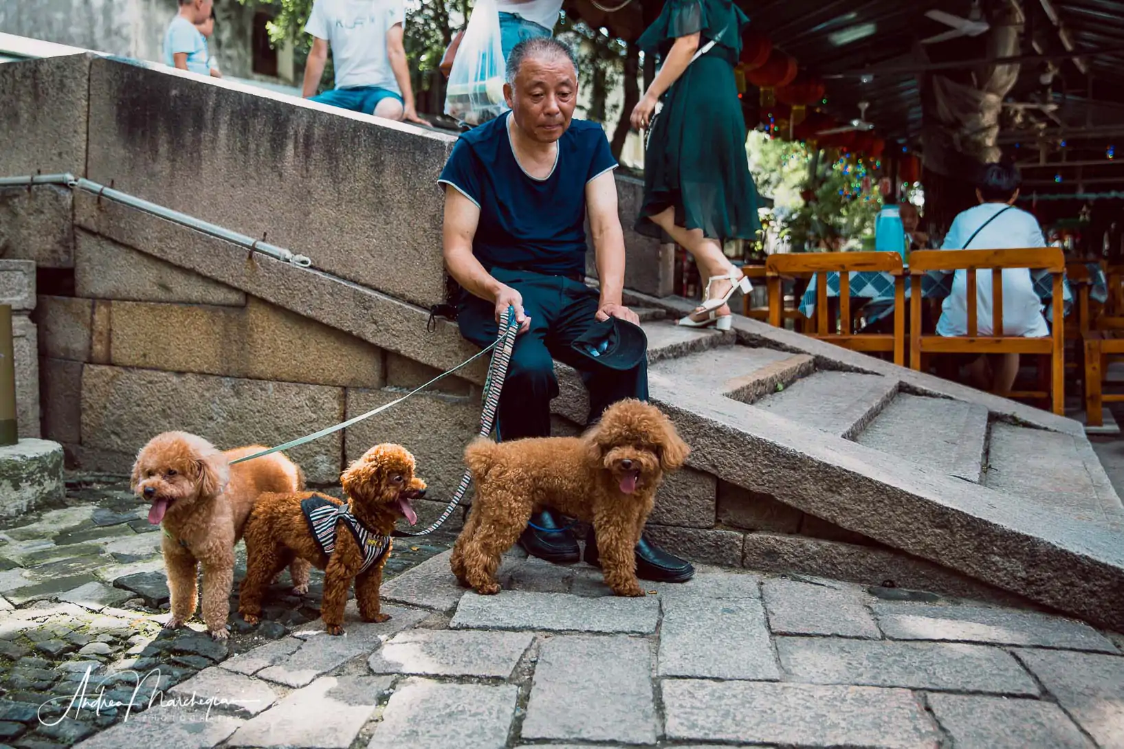 travel-china-tongli-36