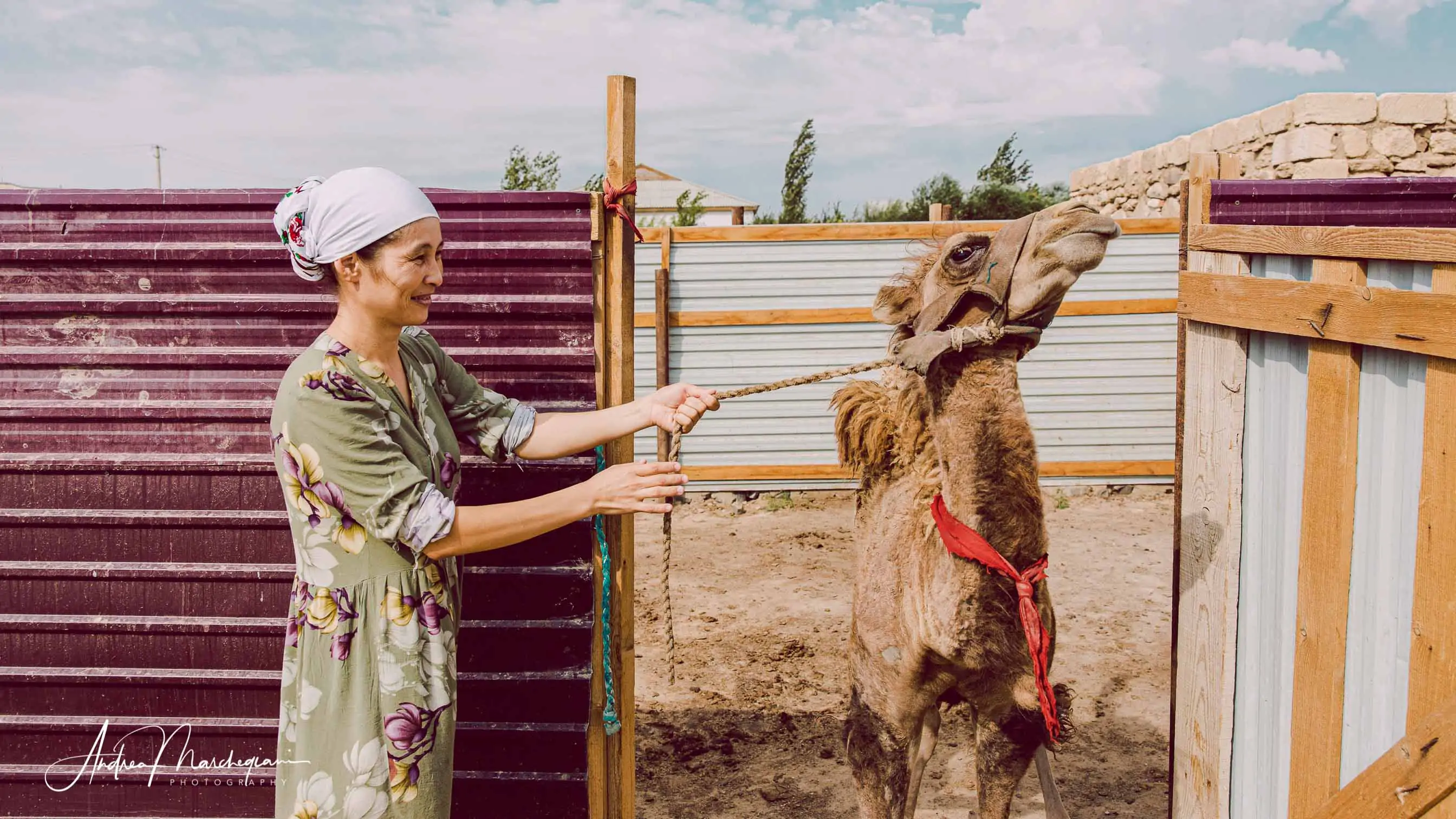 travel-mangystau-desert-kazakhstan-92