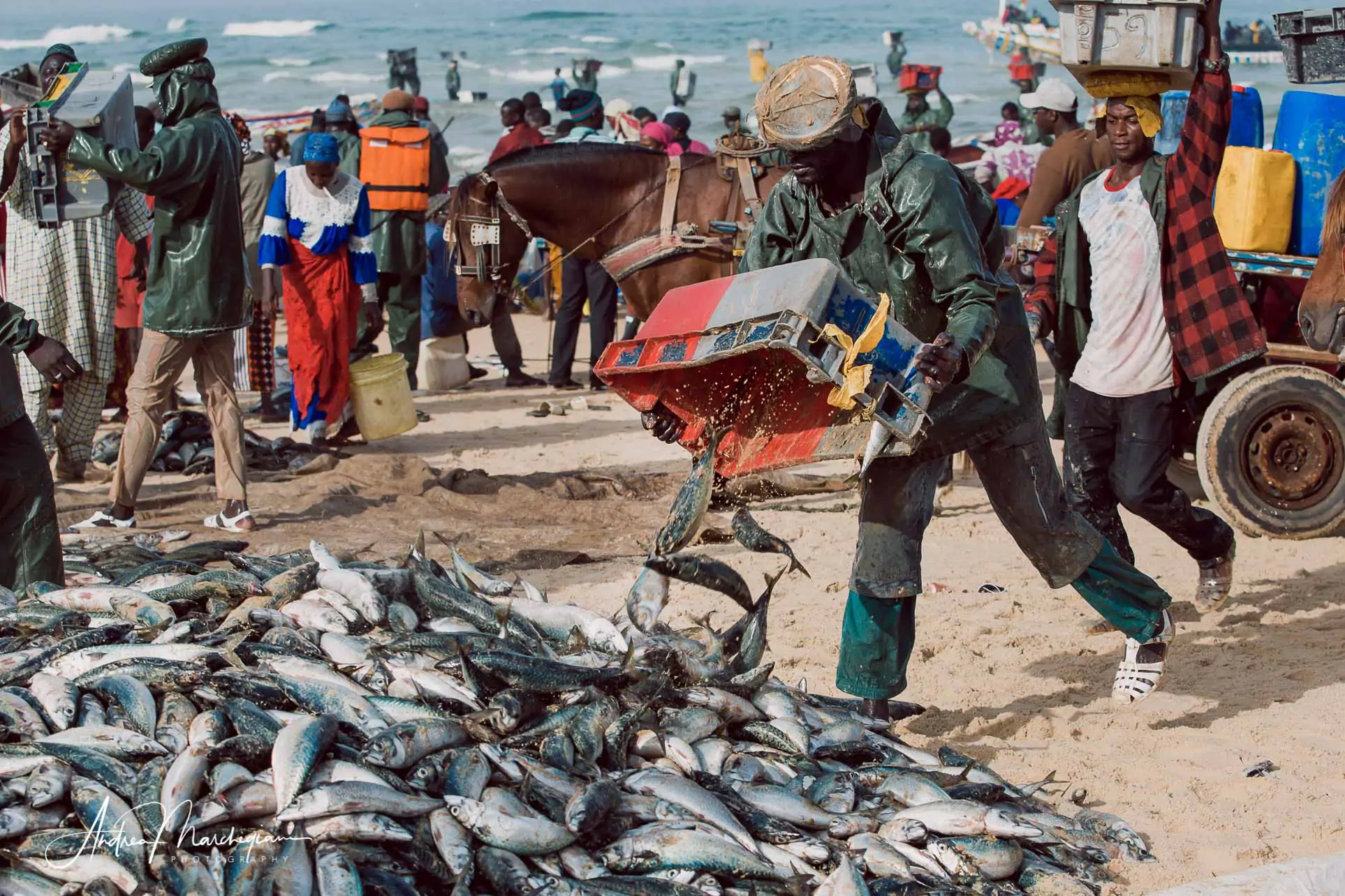 viaggio-senegal-kayar-30