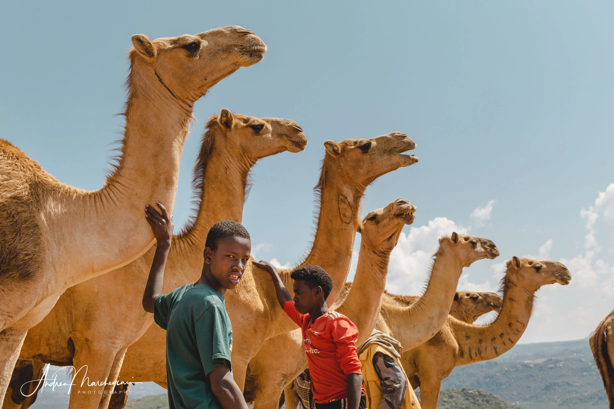 babile-etiopia-mercato-dromedari-cammelli-50