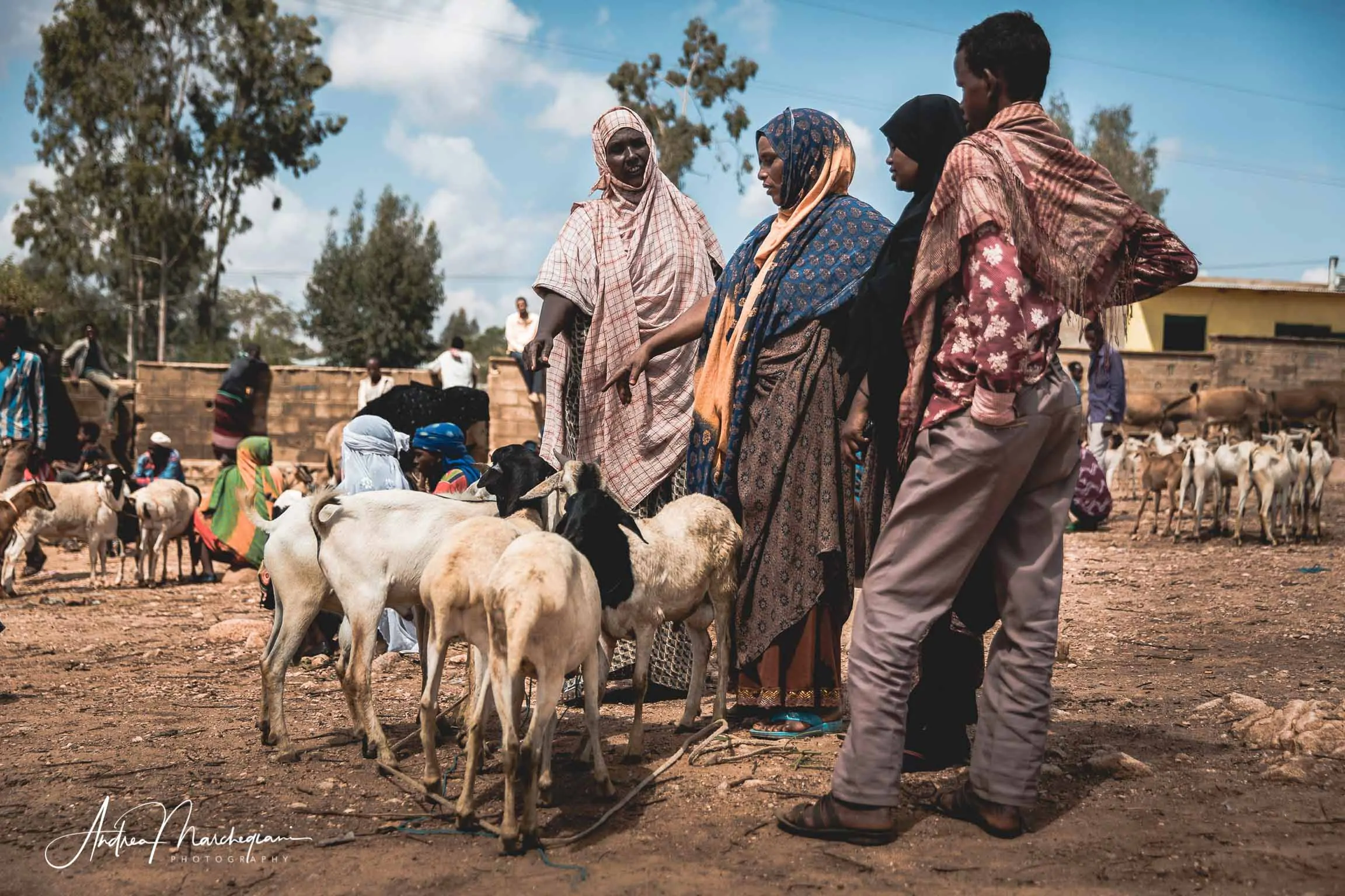 babile-etiopia-mercato-dromedari-cammelli-57