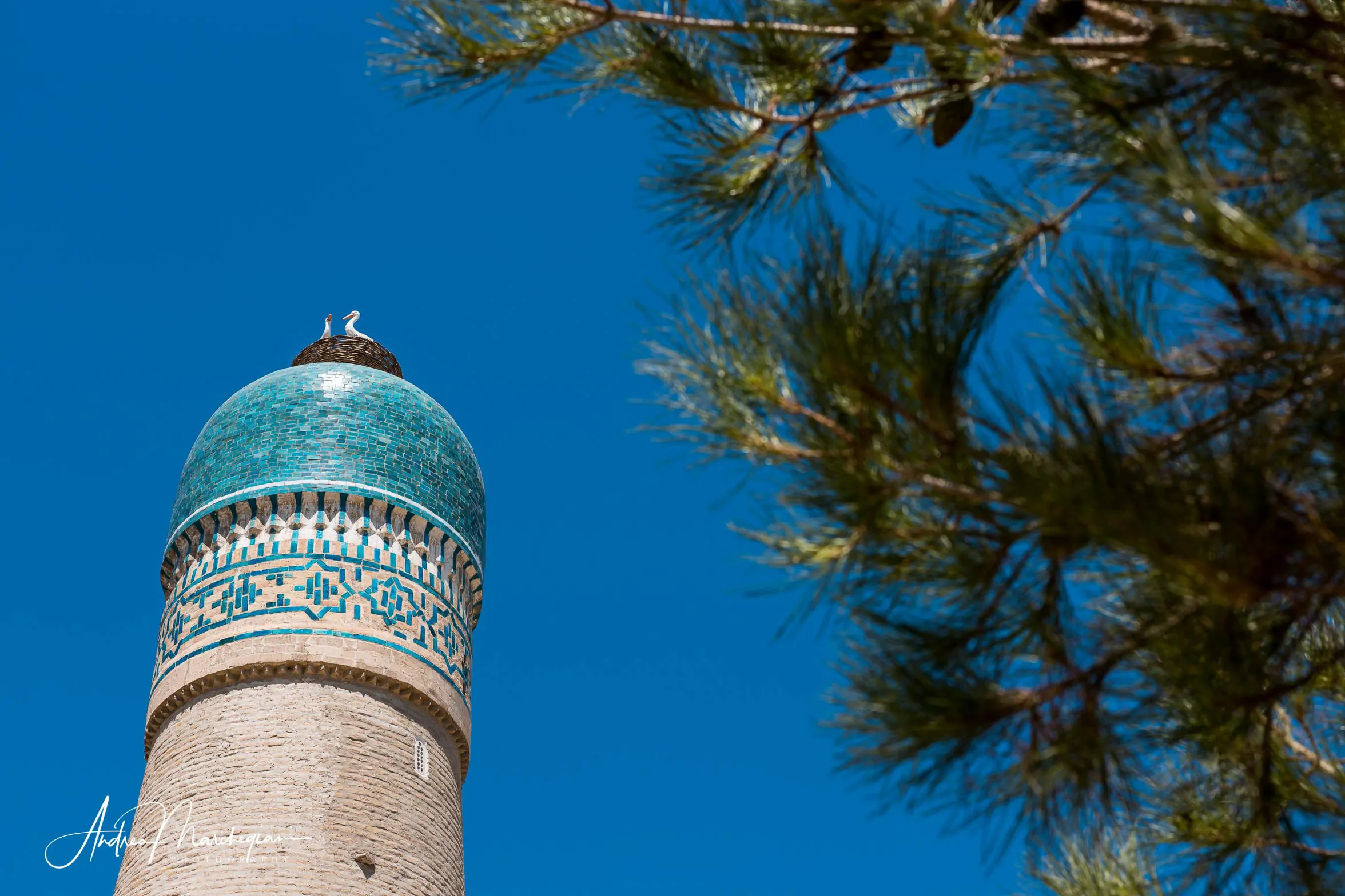 Madrasa di Char Minar, Bukhara