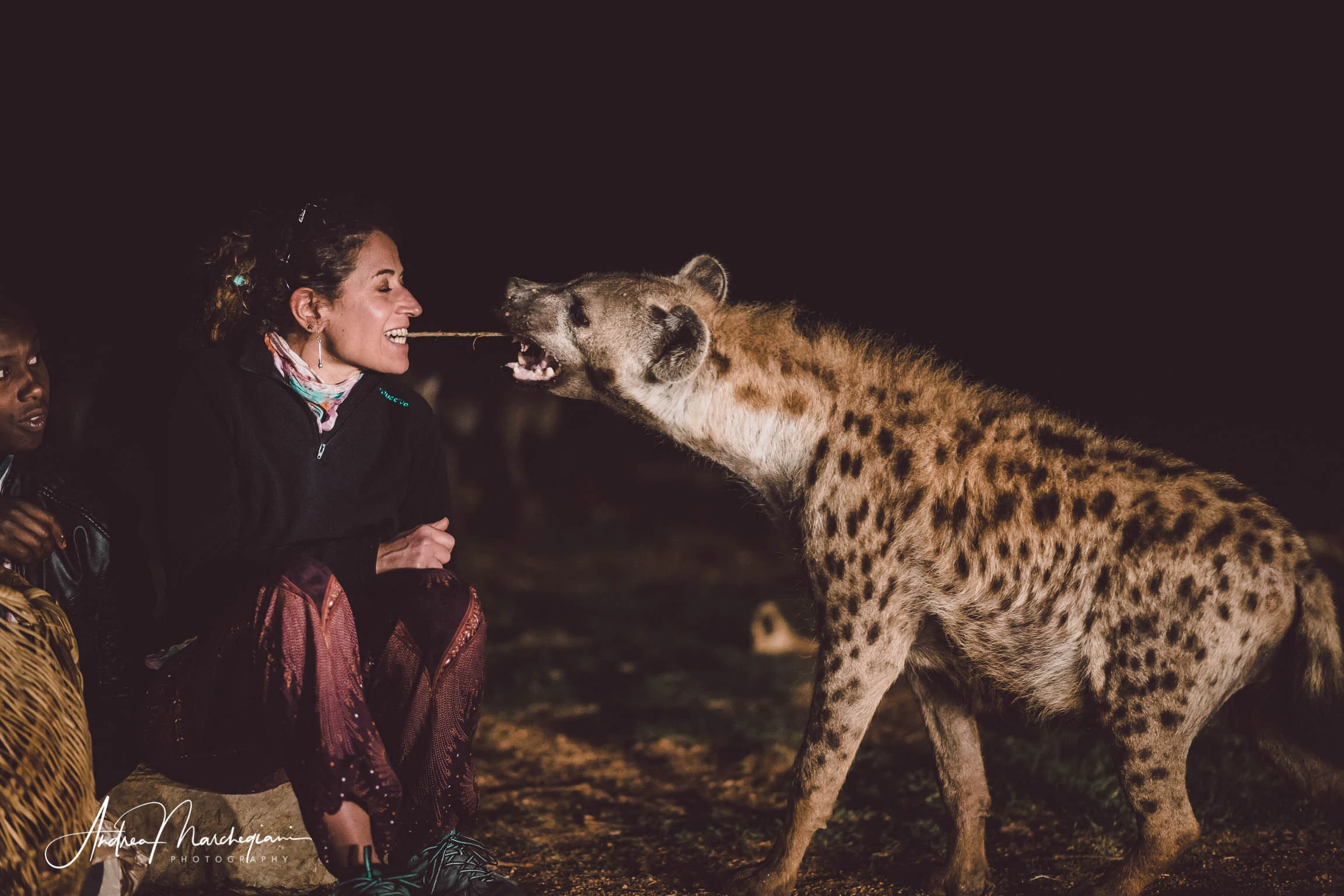 ethiopia-harar-hyenas-19