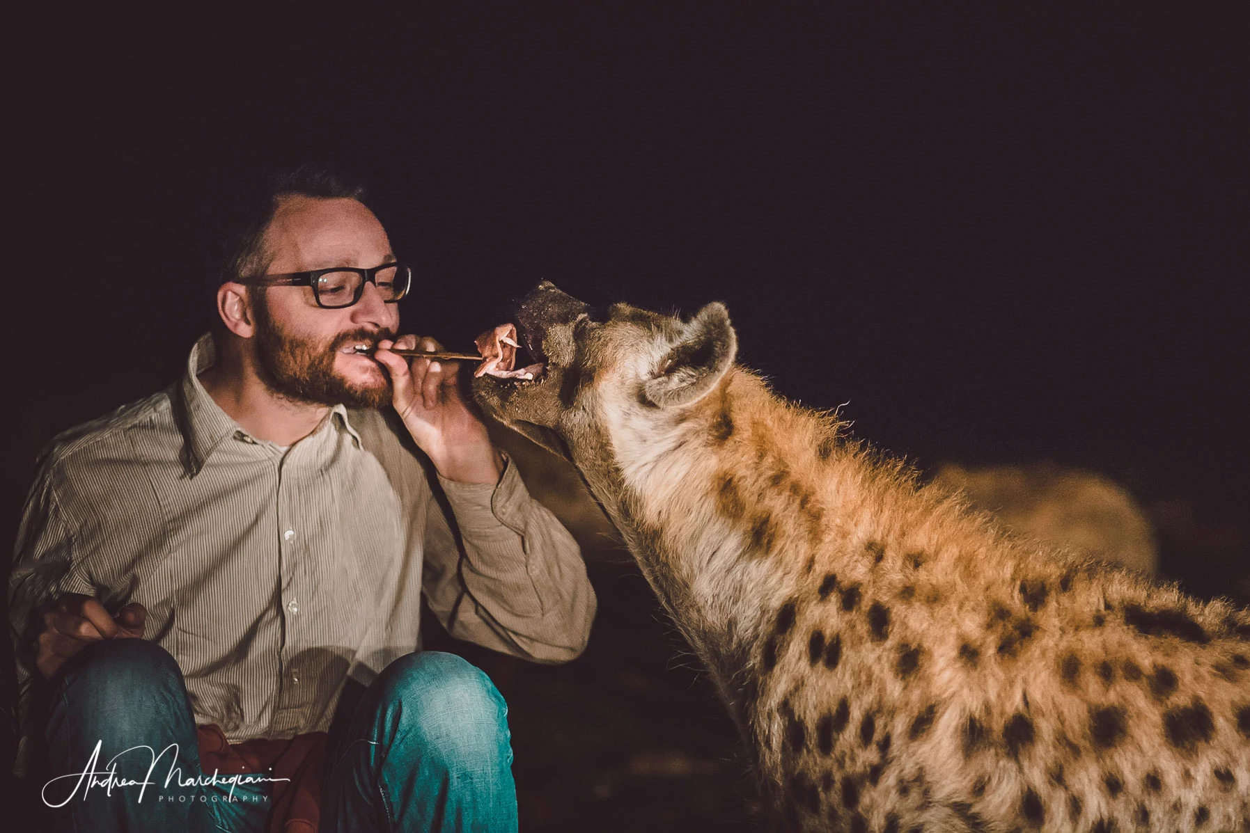 ethiopia-harar-hyenas-21