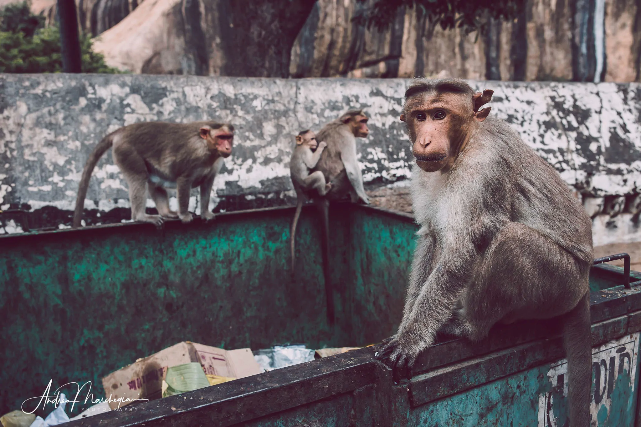 india-tamil-nadu-fort-tirumayam-16