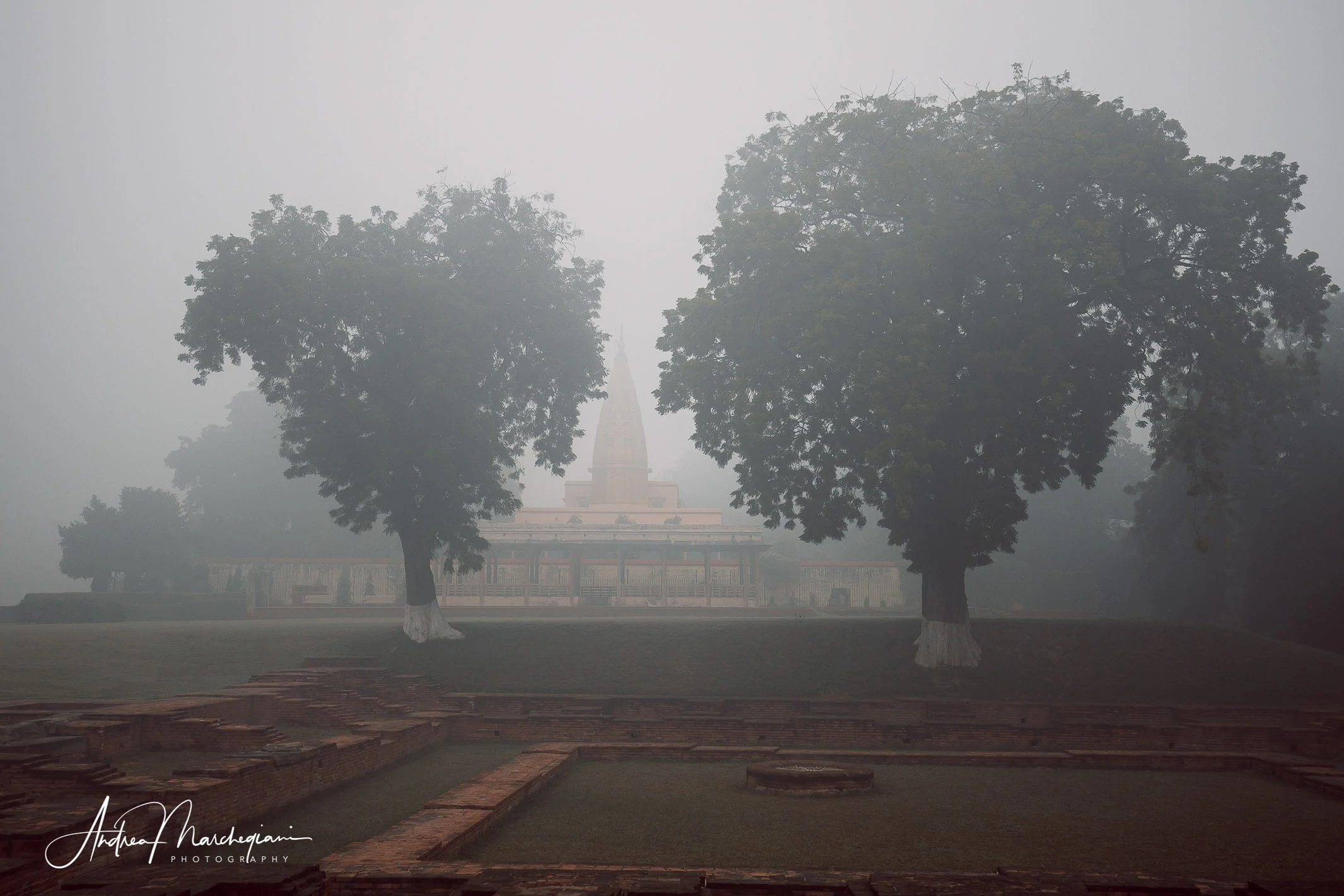 sarnath-india-11