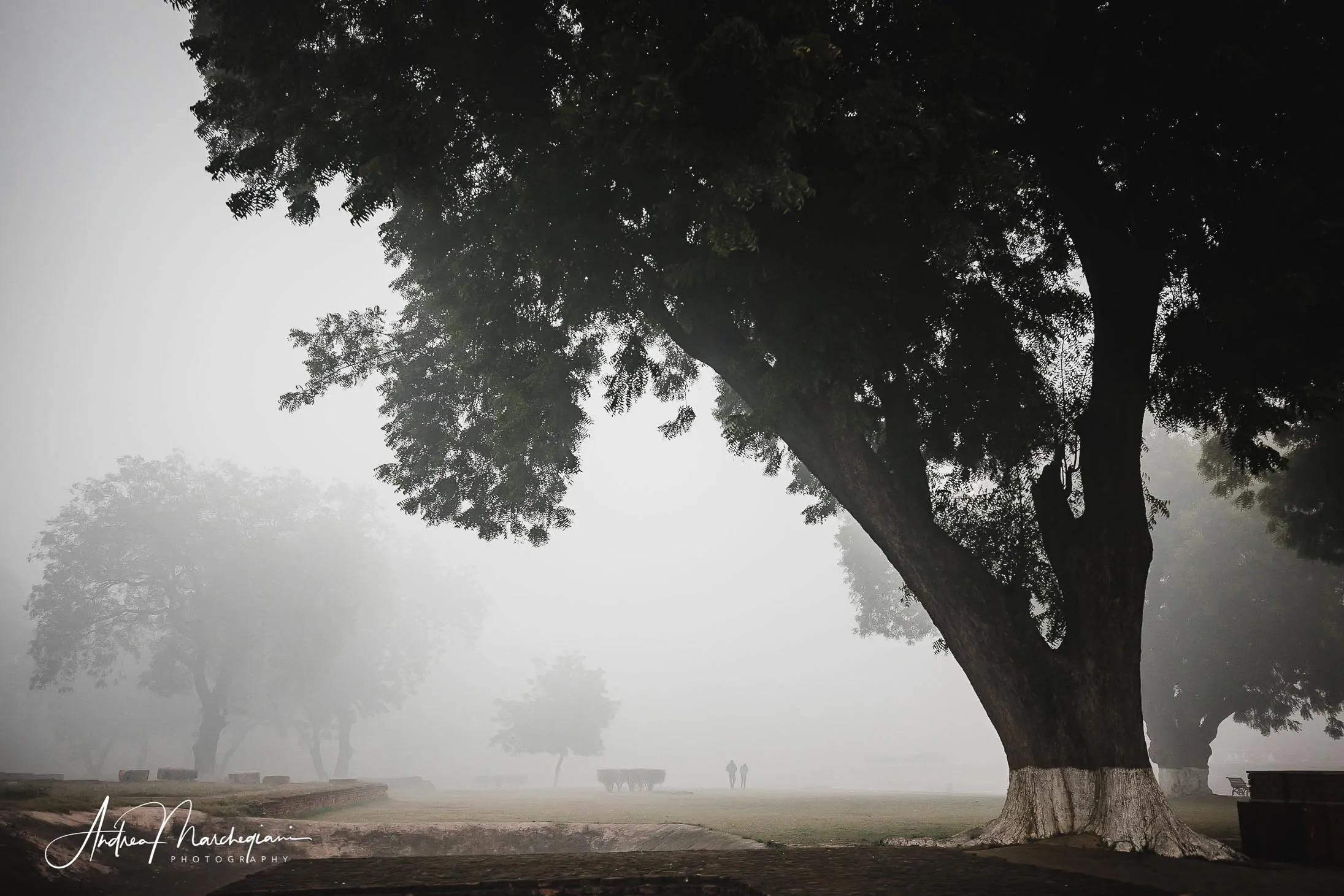 sarnath-india-14