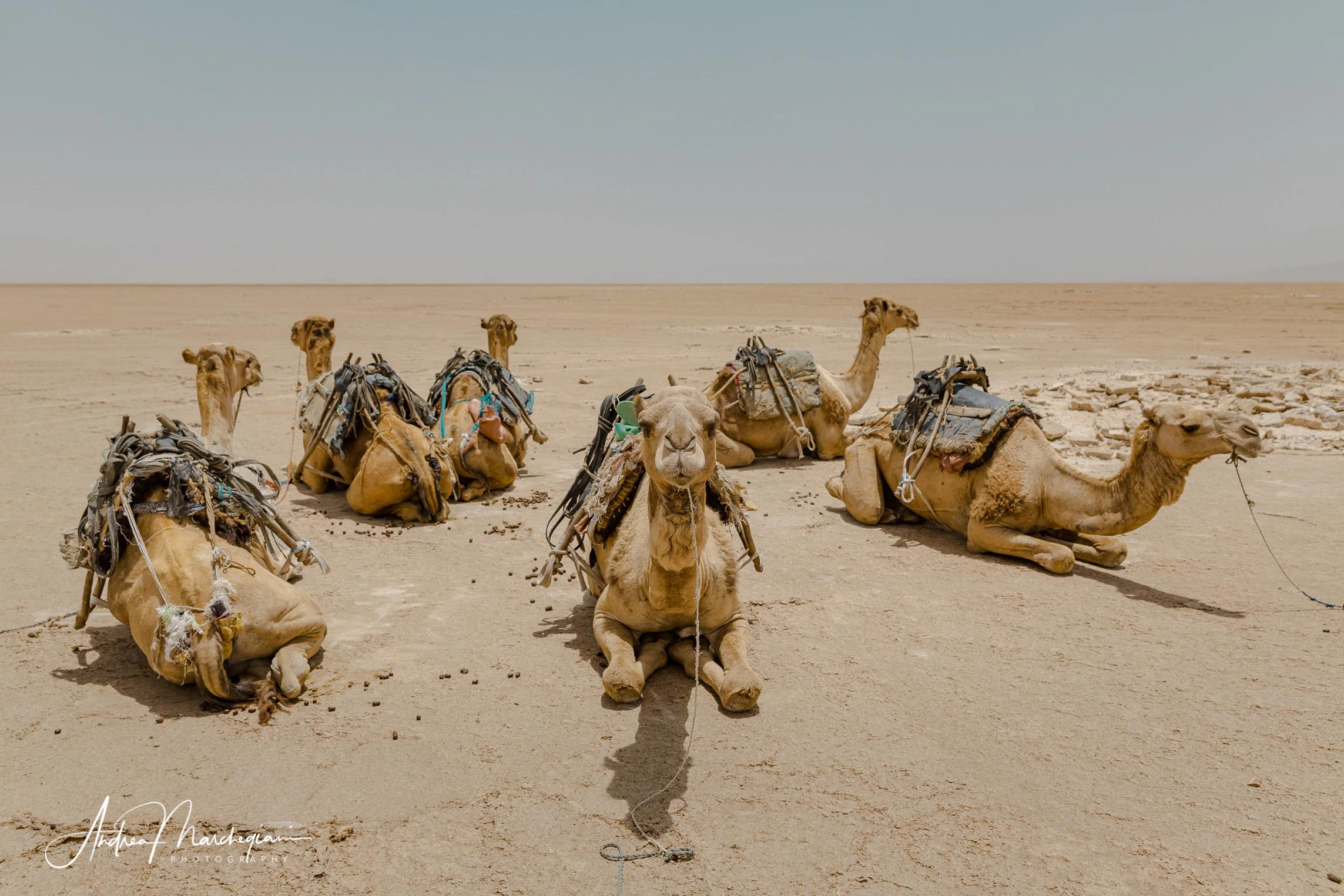 travel-ethiopia-danakil-the-salt-flats-ahmed-ela-47