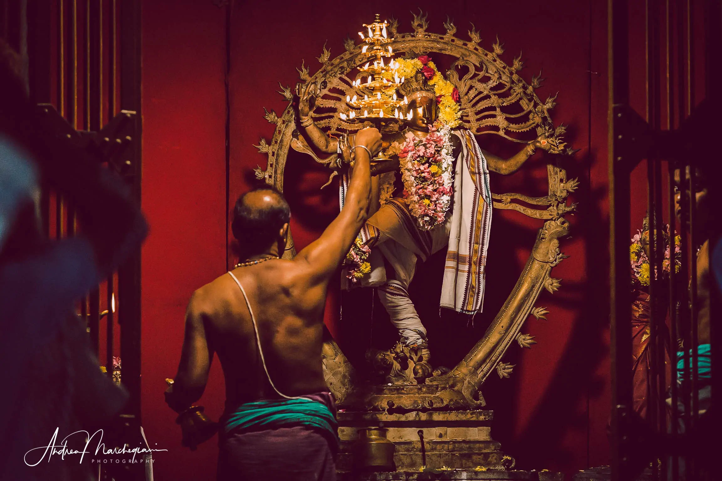 travel-india-thanjavur-tamil-nadu-36