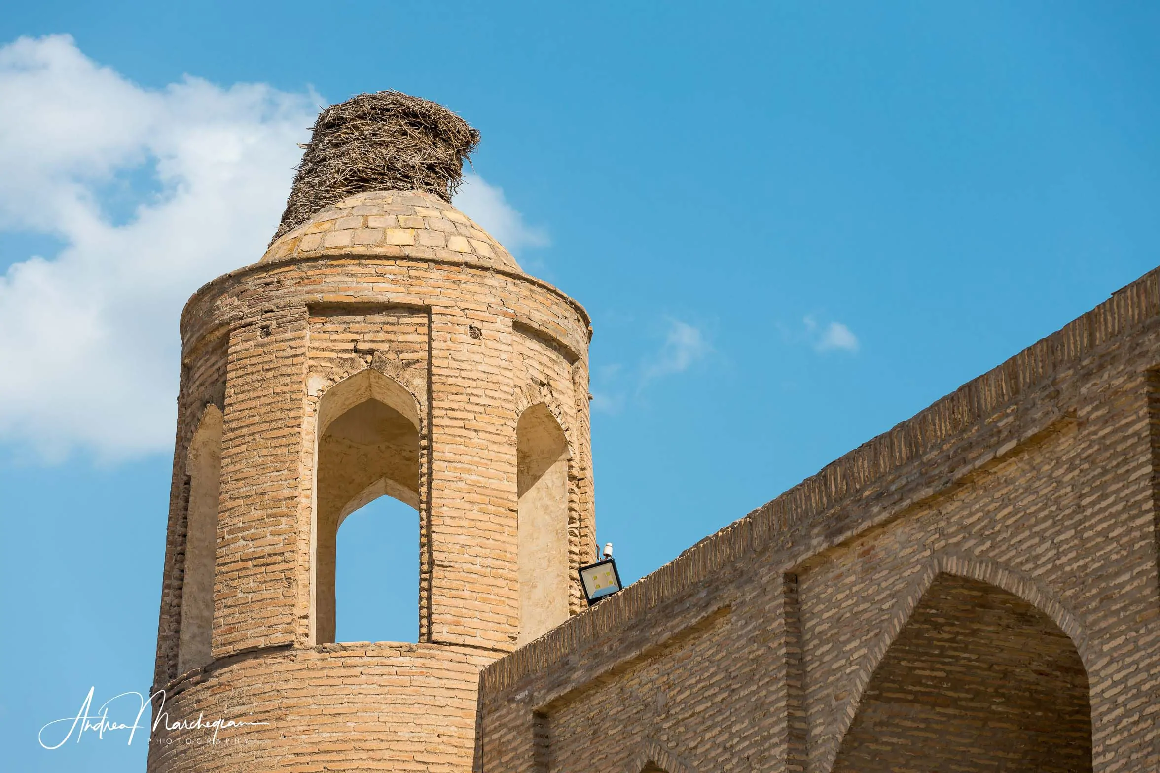 The last stork nest in Buhara