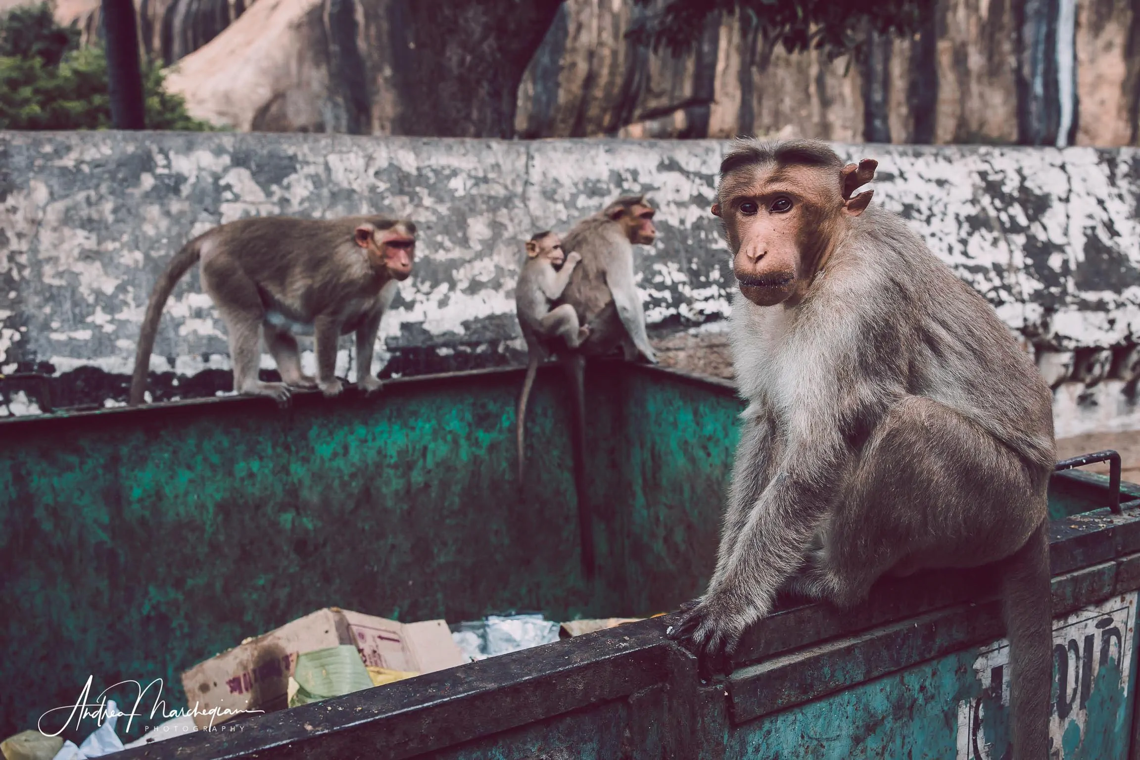 viaggio-india-tamil-nadu-fort-tirumayam-16