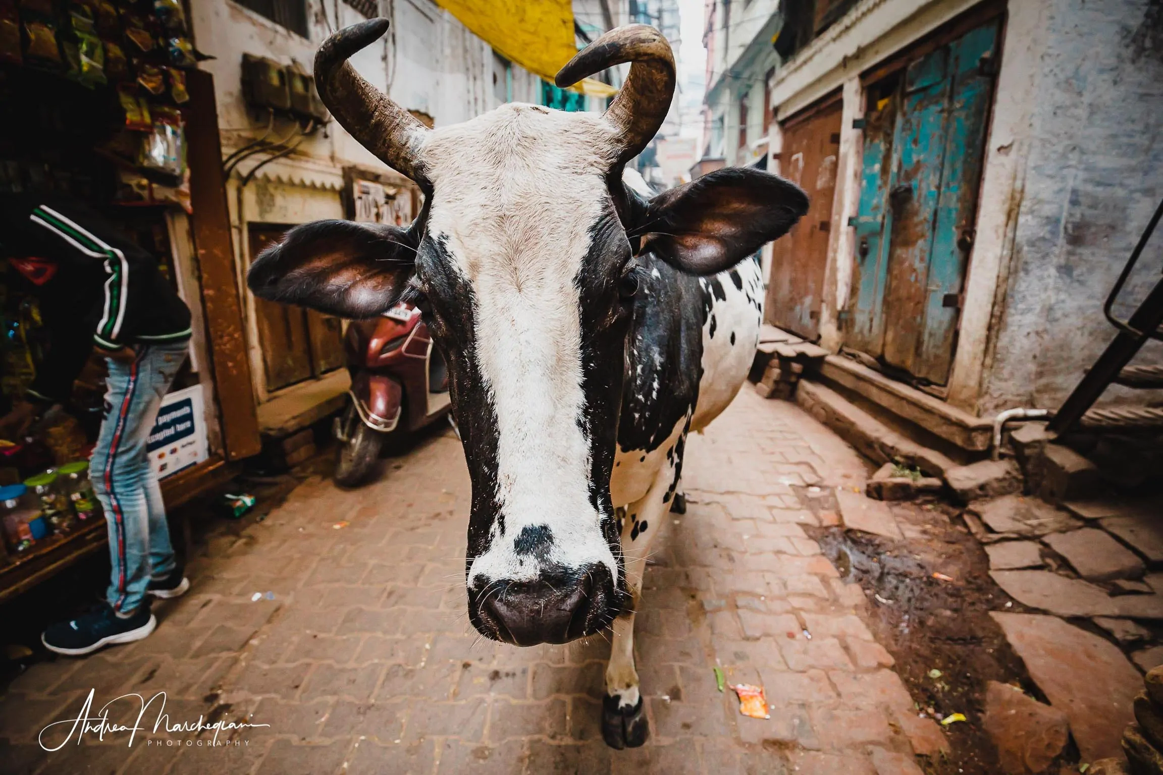 viaggio-varanasi-india-63