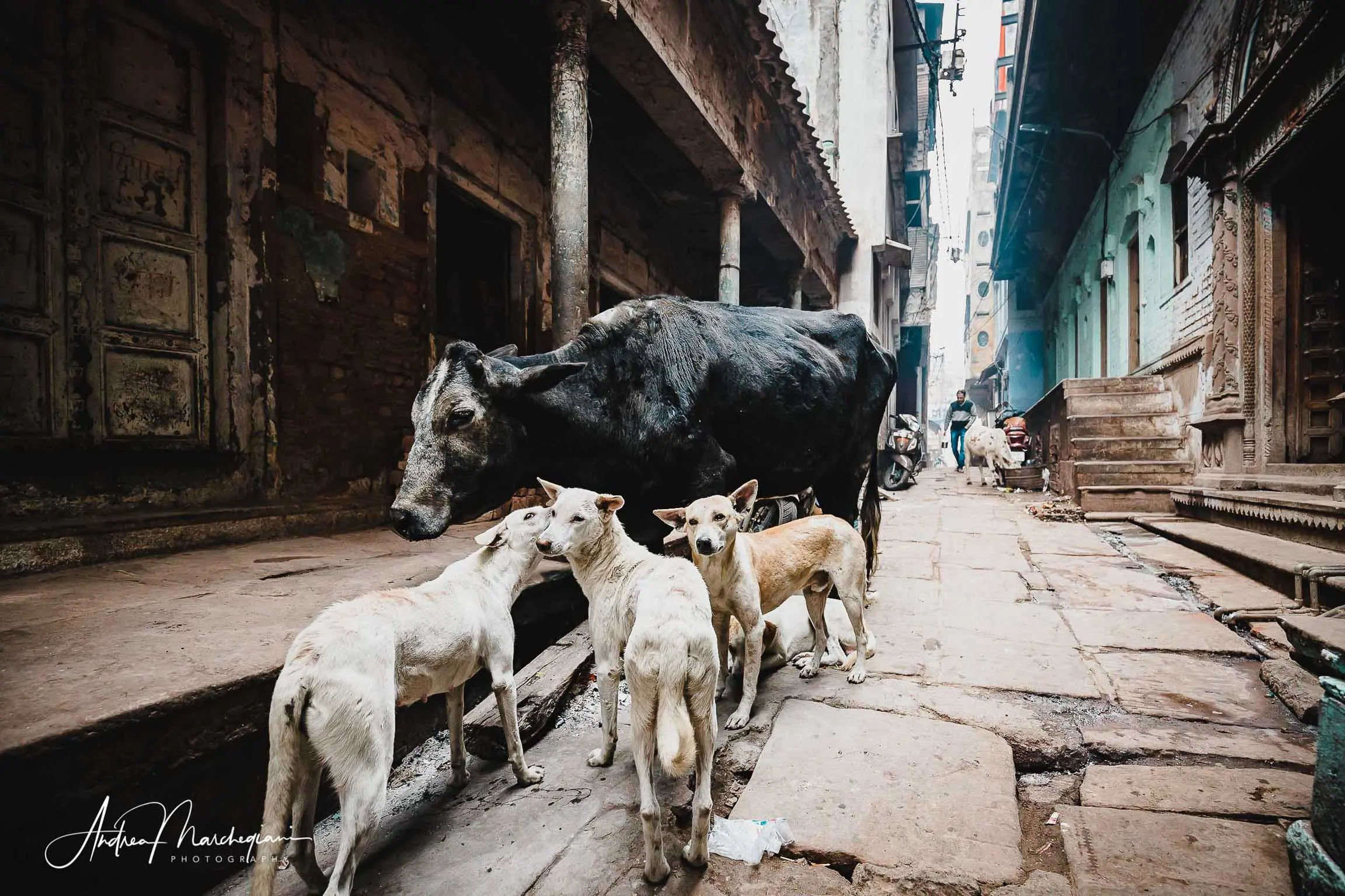 viaggio-varanasi-india-67