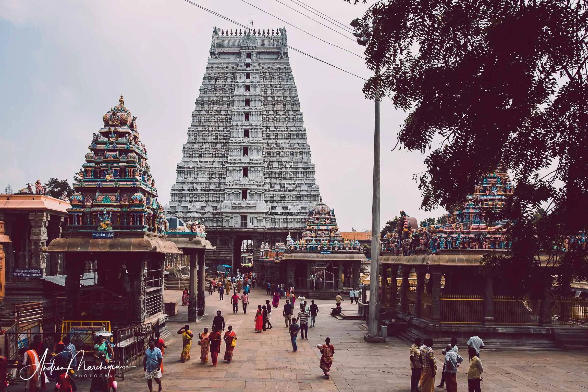 Tiruvannamalai, the fiery phallus of Shiva | Blog Viaggi Tamil Nadu India