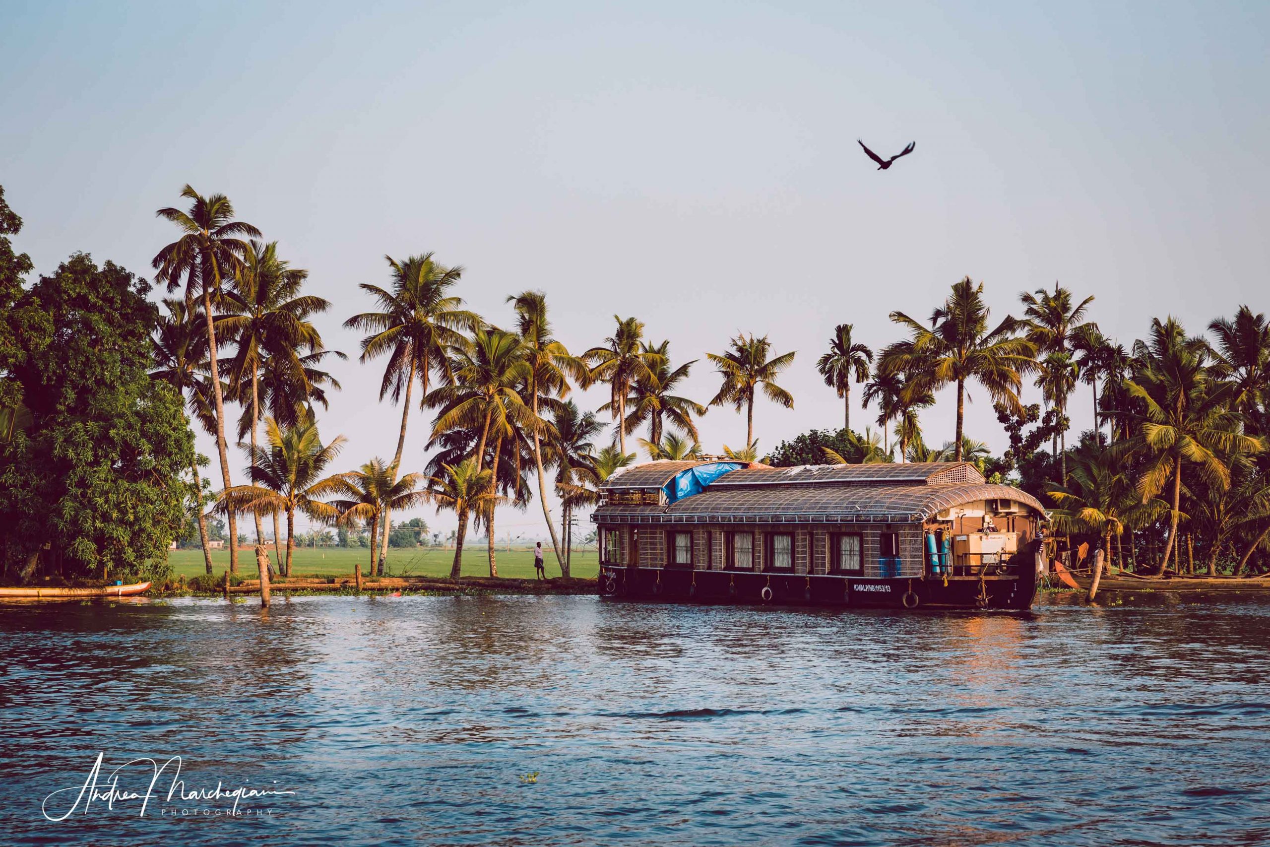 What to do in kerala india travel guide