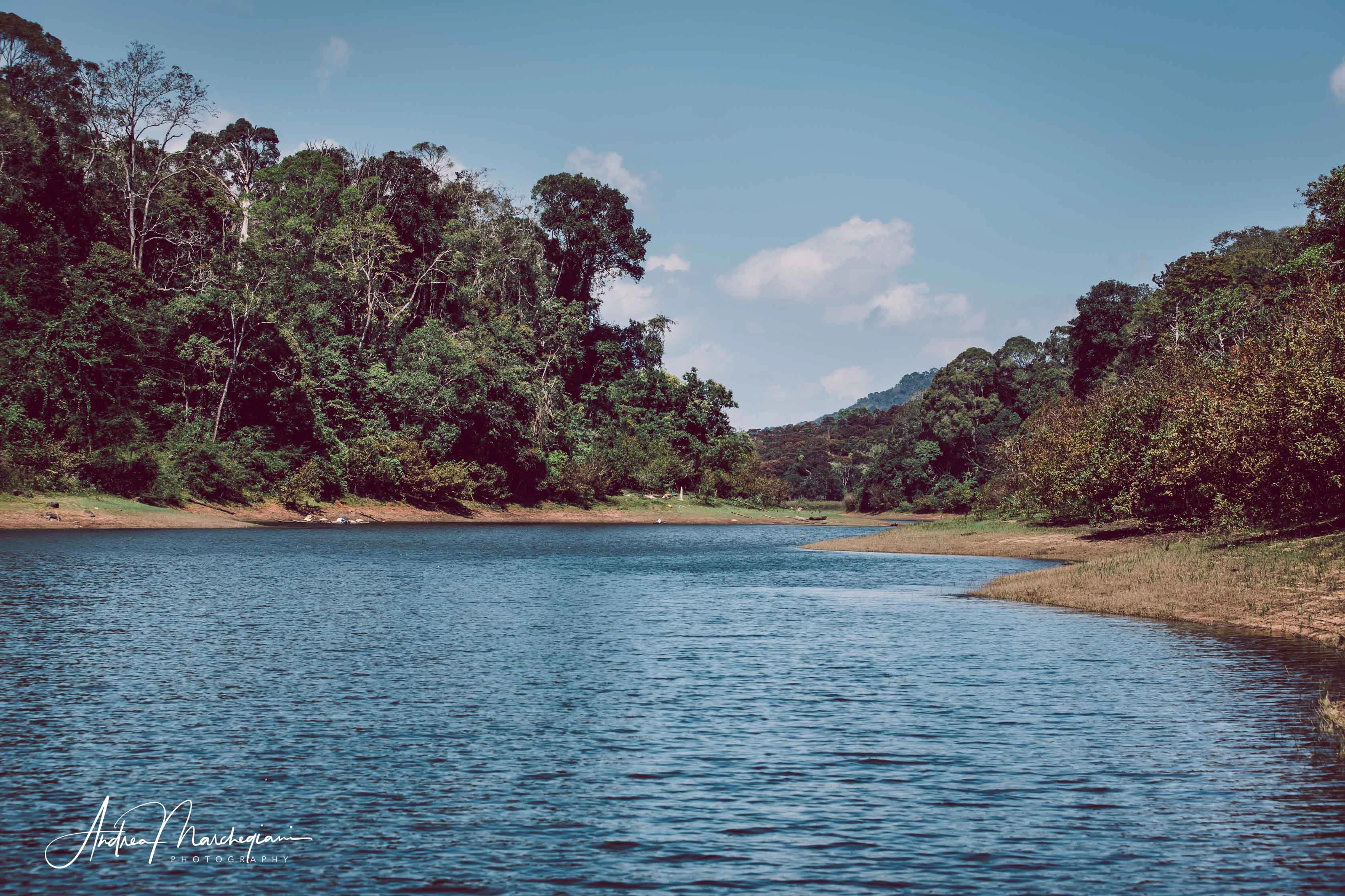 Periyar National Park, wildlife in Kerala | India Travel Blog